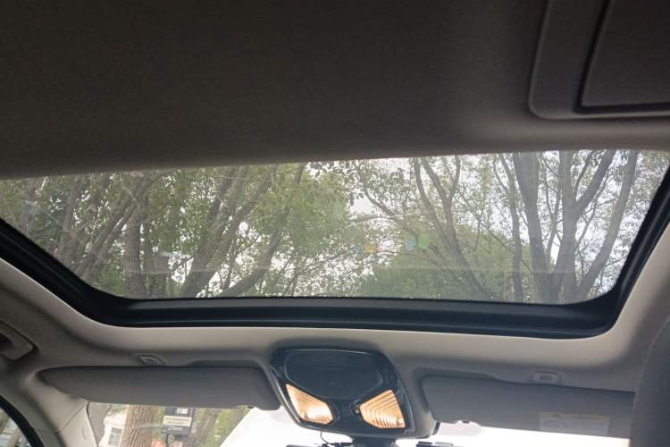 Used BMW 5 Series New Energy 2019 530Le Luxury Package Headliner