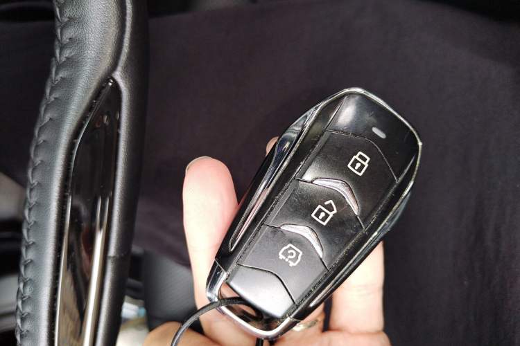 Used Landian E5 2024 Honor Edition 100KM Comfort Model 7 Seats