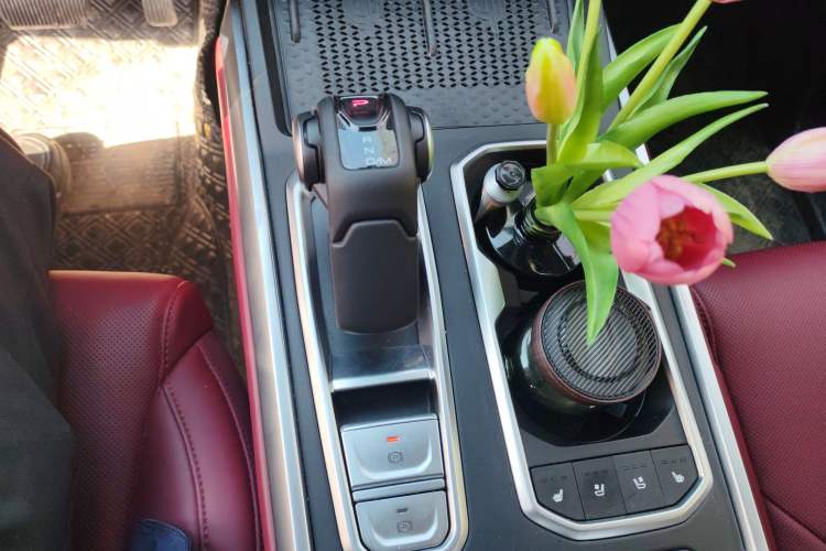 Used Tank 400 New Energy 2024 Hi4-T City Edition Gear Lever