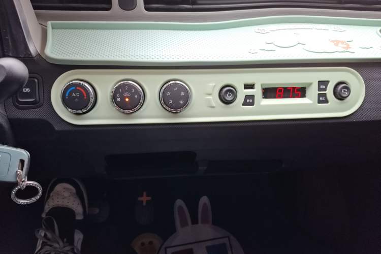 Used Wuling Hongguang MINIEV 2020 Enjoyment Model Lithium Iron Phosphate