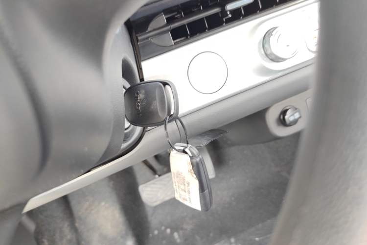 Used Changan Lumin 2023 205km Xiangqin Version
