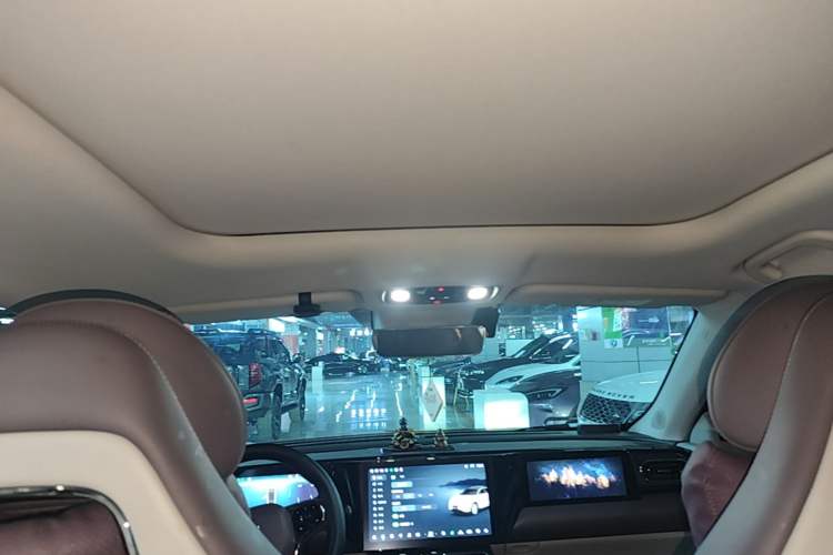 Used Leapmotor C11 2023 Range-Extended 300 Smart Enjoyment Edition Headliner