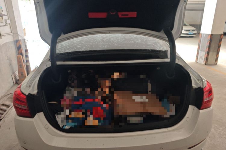 Used Hongqi H5 2018 30TD Smart Connect Dynamic Edition Trunk