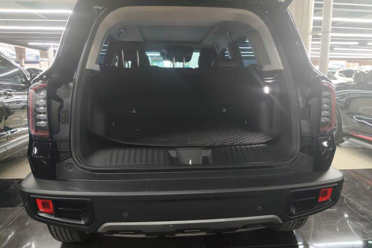 Used Haval DARGO 2024 2.0T DCT Chinese Rural Dog Edition
