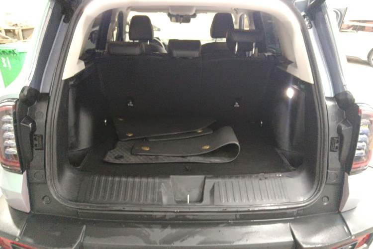 Used Haval DARGO 2024 2.0T DCT Chinese Rural Dog Edition
