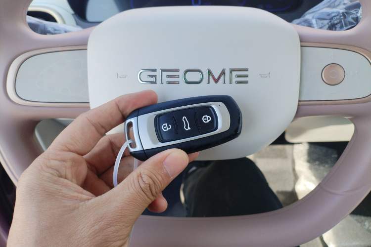 Used Geely Galaxy Panda 2025 210 km – Yuanqi Bear