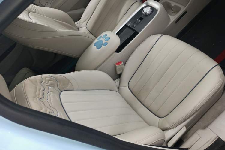 Used ORA Good Cat 2022 400km Standard Range Luxury Version Lithium Iron Phosphate Right Front Seat