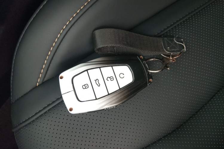 Used Geely Auto Monjaro L 2024 2.0TD DCT EVO Two-Wheel Drive Long-Range Version