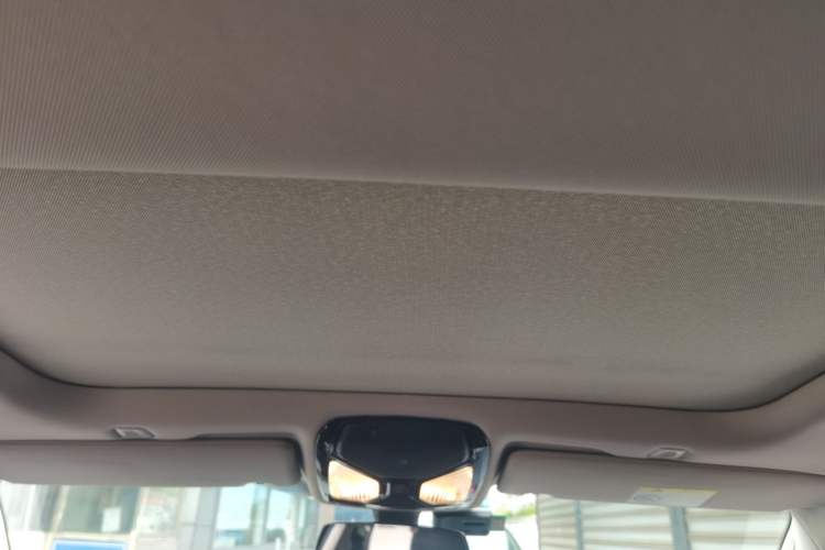 Used BMW 5 Series New Energy 2018 530Le Luxury Package