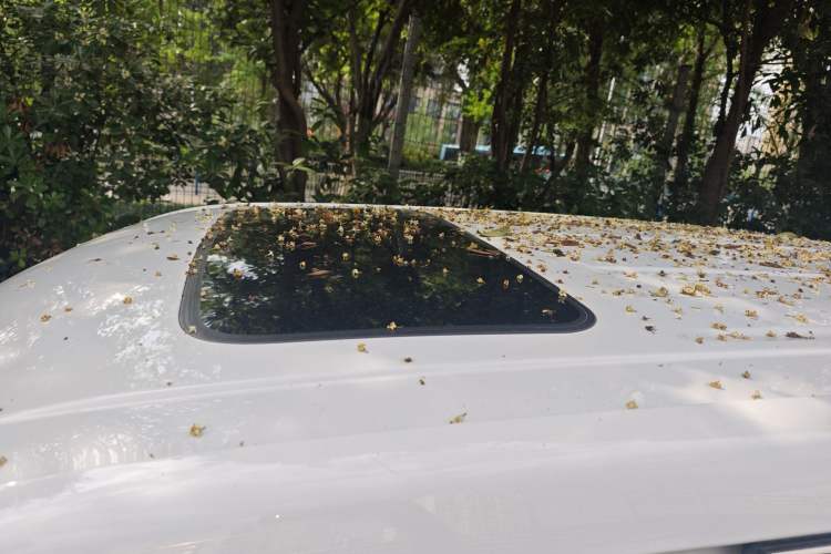 Used Chevrolet Trailblazer 2019 435T Redline CVT Two-Wheel-Drive Sharp Edition China VI Standard Roof