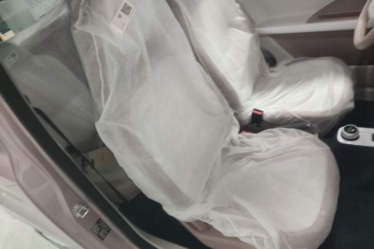 Used Geely Galaxy Panda 2025 210 km – Yuanqi Bear Right Front Seat