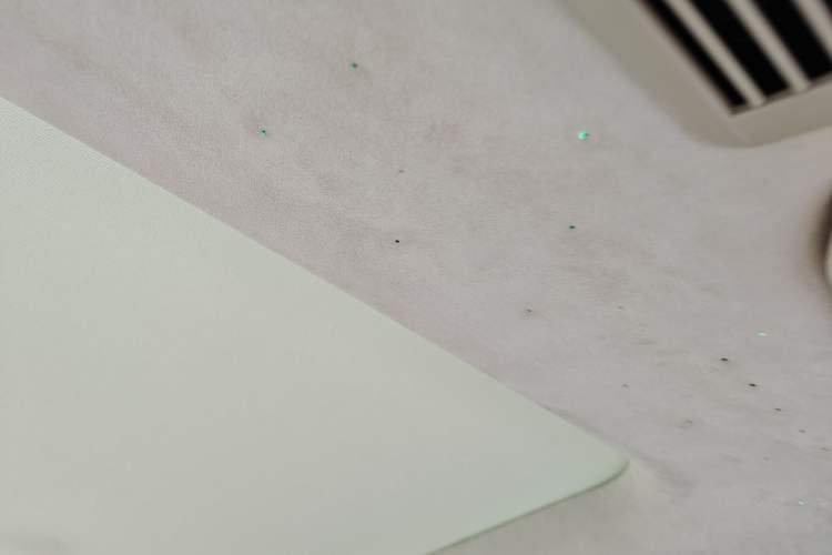 Used Mercedes-Benz V-Class 2021 V 260 Prestige Edition Headliner