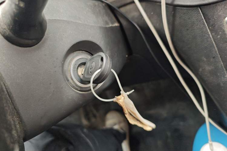 Used Karry Dolphin EV 2019 Smart Edition
