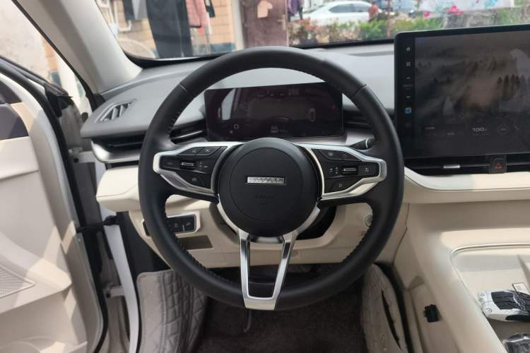 Used Haval H6 2024 1.5T Two-Wheel Drive Max