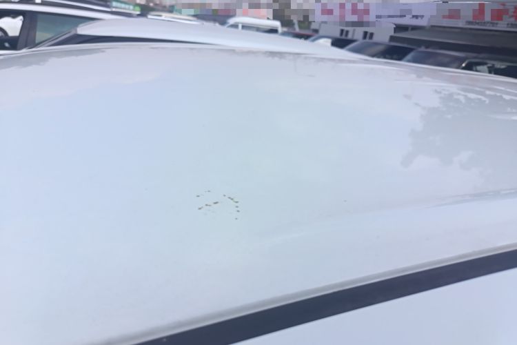 Used Buick GL8 2023 Land Executive Class Smart Enjoyment Model
