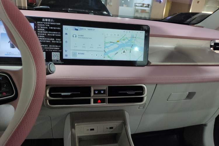 Used Geometry E Firefly 2024 401 km Fluorescent Audio And AC Panel