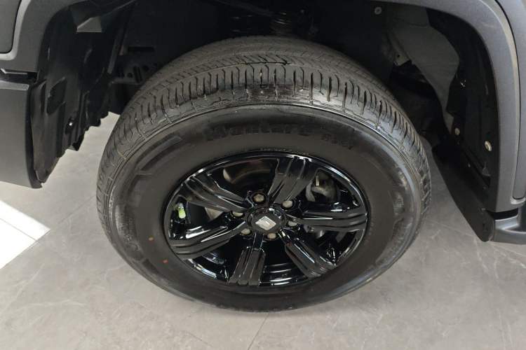 Used Tank 300 2024 2.0T Conqueror