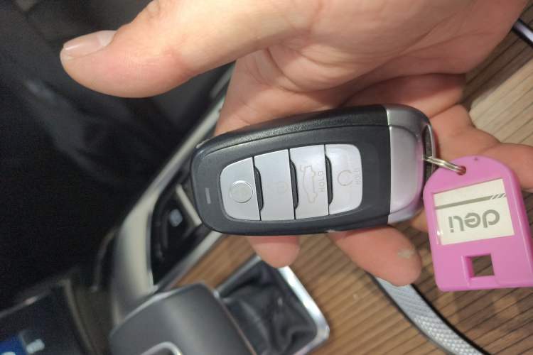 Used Hongqi E-HS9 2021 460 km Range Flagship Edition Six-Seater