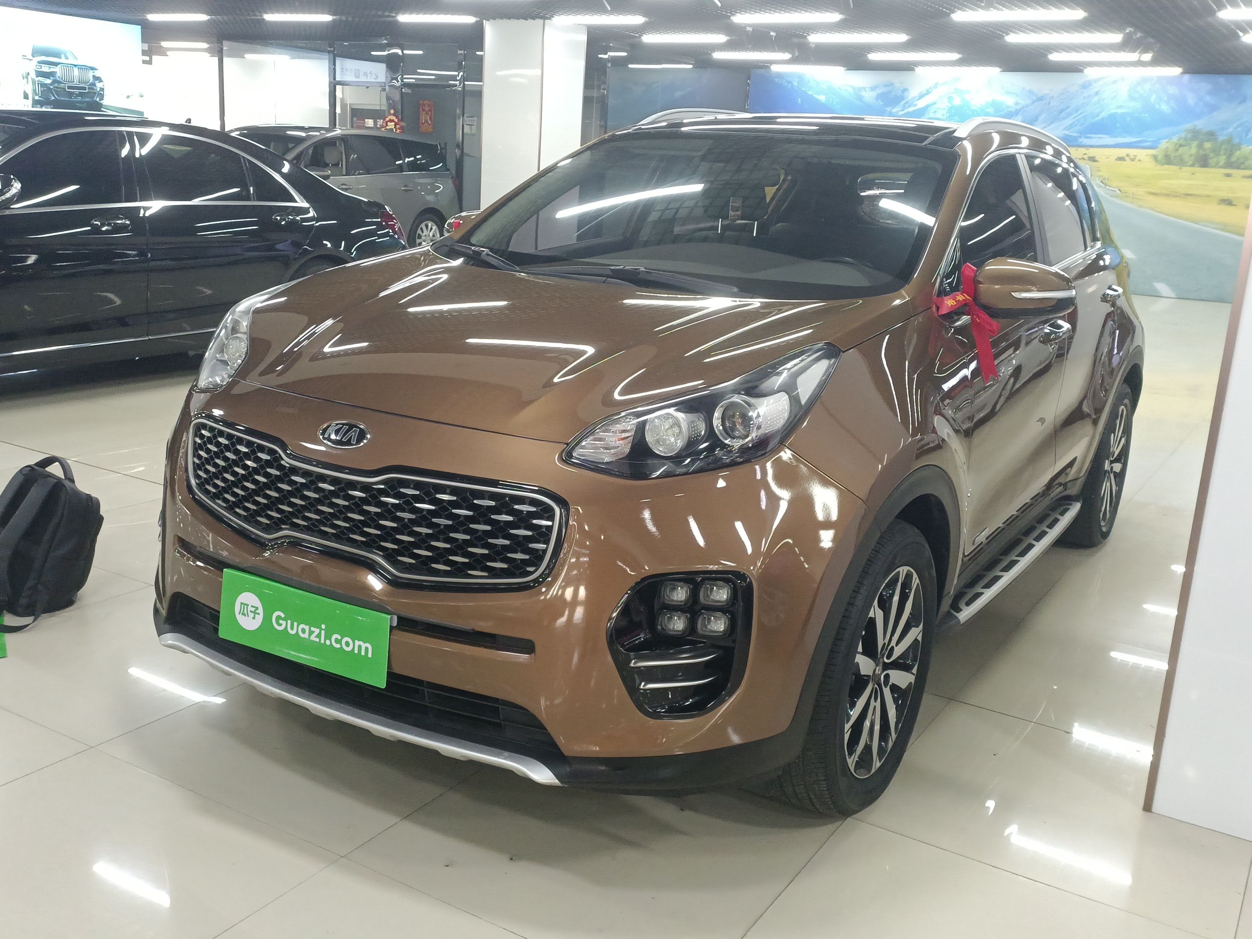 تحت مقدمة السيارة