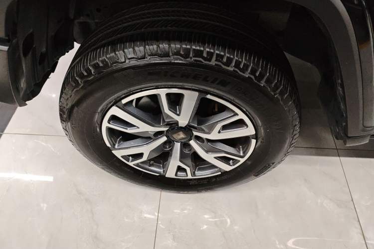 Used Tank 300 2024 2.0T Crosser
