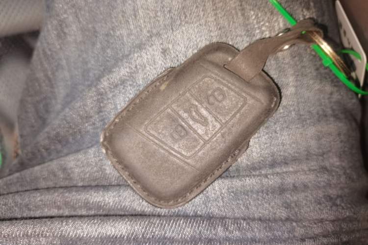 Used Volkswagen Magotan GTE Plug-in Hybrid 2022 GTE Luxury Model
