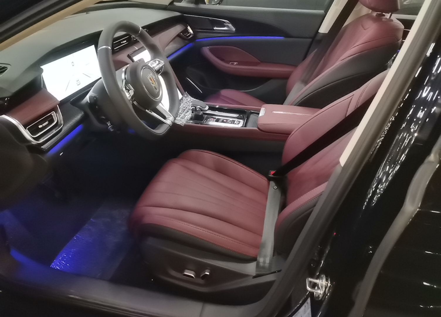 Hongqi H5 2025 Model 2.0T Automatic Xuan Ying 2 Million Units Commemorative Edition — снимка 17