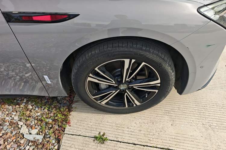 Used Hongqi EH7 2024 690 Pro Exterior 4