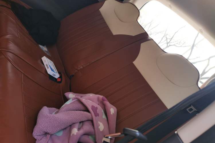 Used Qiyuan Lumin 2022 210km Sweet Edition