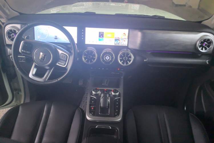 Used Tank 300 2024 2.0T Crosser
