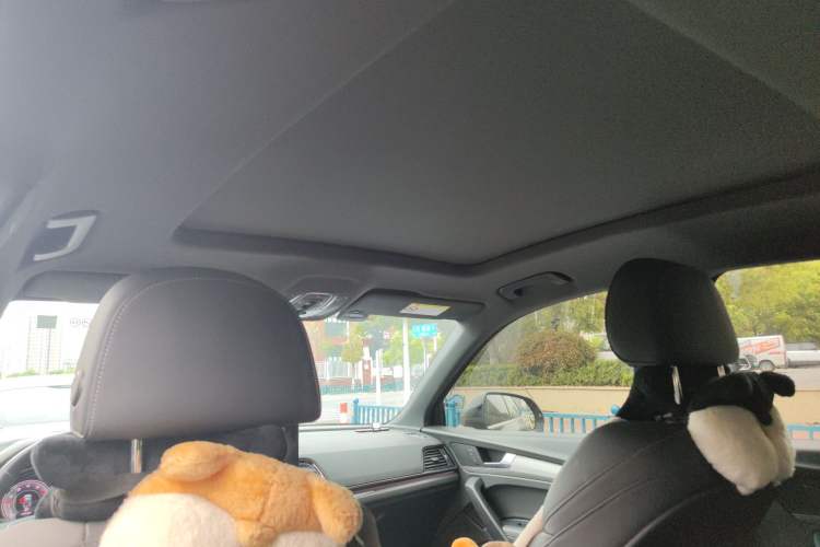 Used Audi Q5L Sportback 2021 40 TFSI Fashion Model Headliner