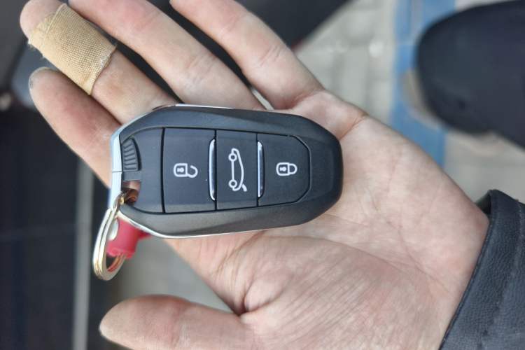 Used DS 5 2014 1.6T Luxury Edition THP160 Vehicle Key