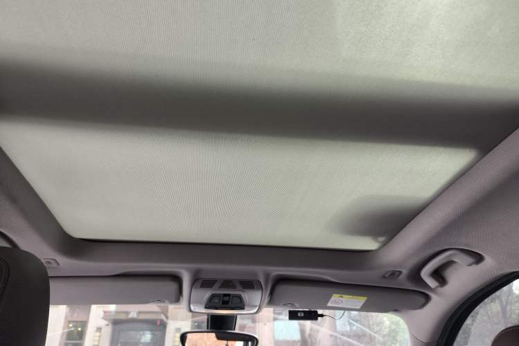 Used BMW X1 2018 sDrive18Li Luxury Model Headliner