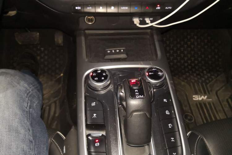 Used Tank 300 2022 2.0T Border Limited Edition Gear Lever