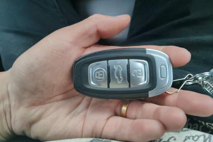 Used Hongqi LS7 2022 4.0T Elegant Flagship Edition 6 Seats Vehicle Key