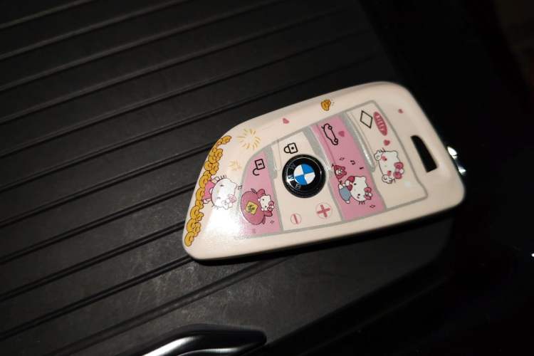 Used BMW X3 2022 Restyled xDrive25i M Sport Package Vehicle Key