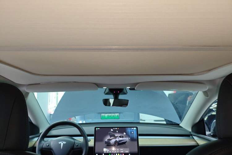 Used Tesla Model Y 2021 Performance High-Performance All-Wheel-Drive Version Headliner