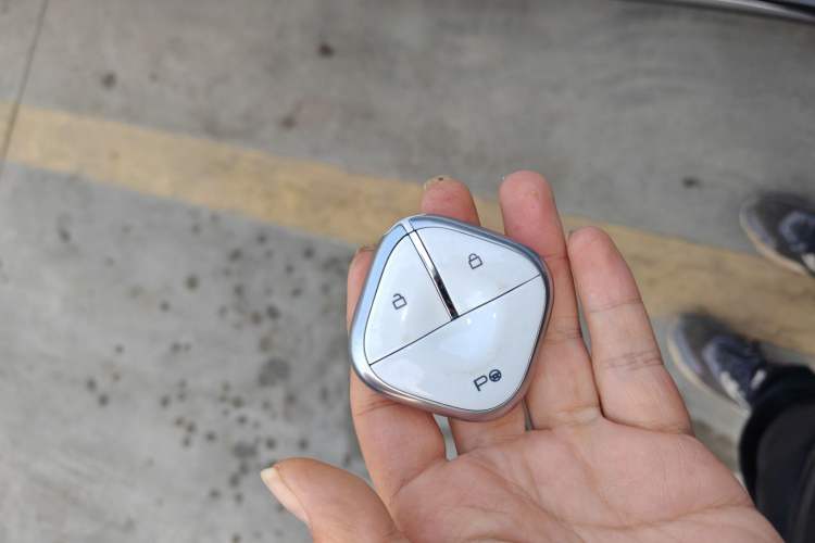 Used Baojun Enjoy 2025 Plug-in Hybrid 140km Luxury Edition
