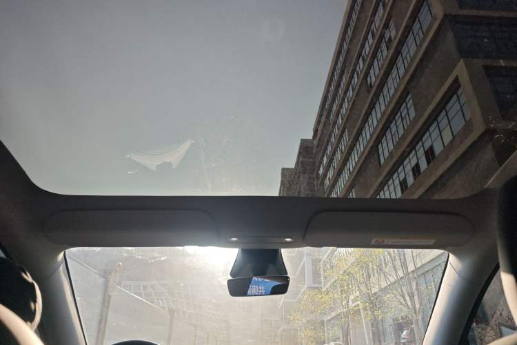 Used Tesla Model Y 2025 Long-Range All-Wheel-Drive Version Headliner