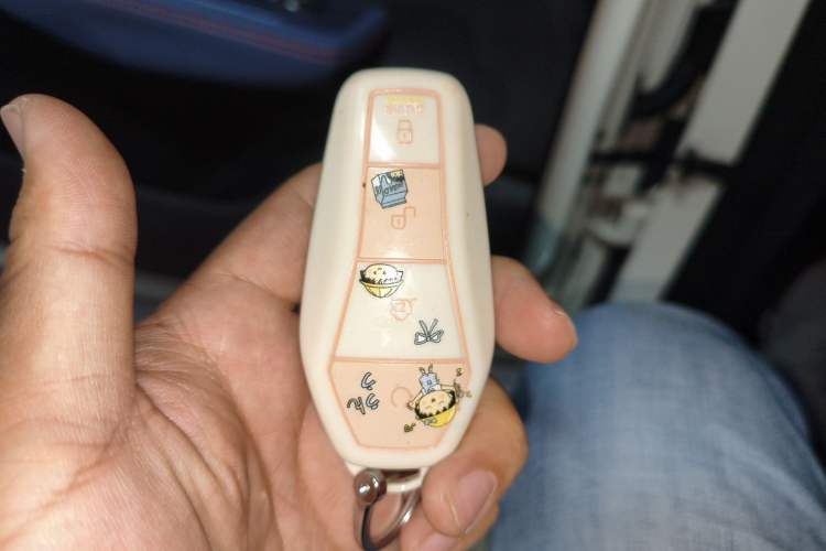 Used BYD Seagull 2024 Honor Edition 305km Dynamic Version