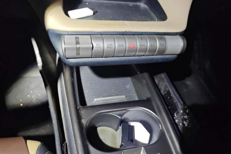 Used BYD Dolphin 2023 420 km Free Version Gear Lever