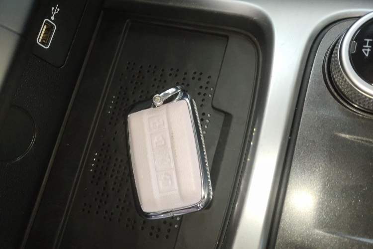 Used Tank 300 2024 2.0T Conqueror