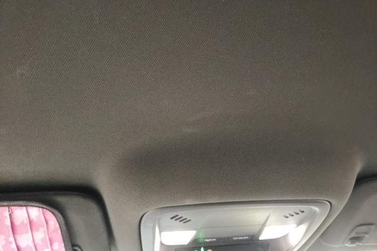 Used Buick VELITE 5 2017 Urban Extended-Range Model Headliner