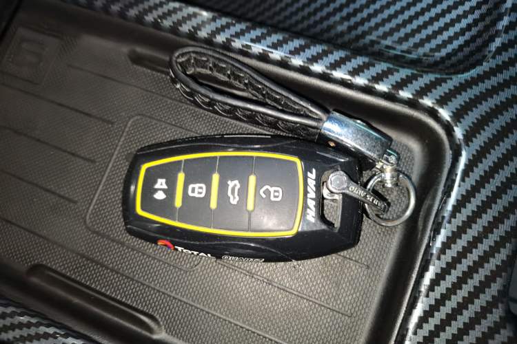 Used Haval DARGO 2022 2.0T DCT Two-Wheel Drive Huazhong Hound Edition