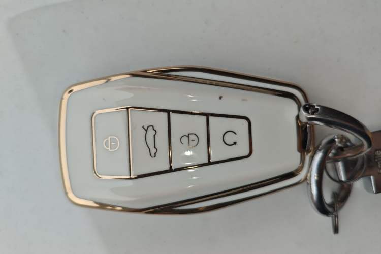 Used Geometry E Firefly 2024 301km Starlight Vehicle Key