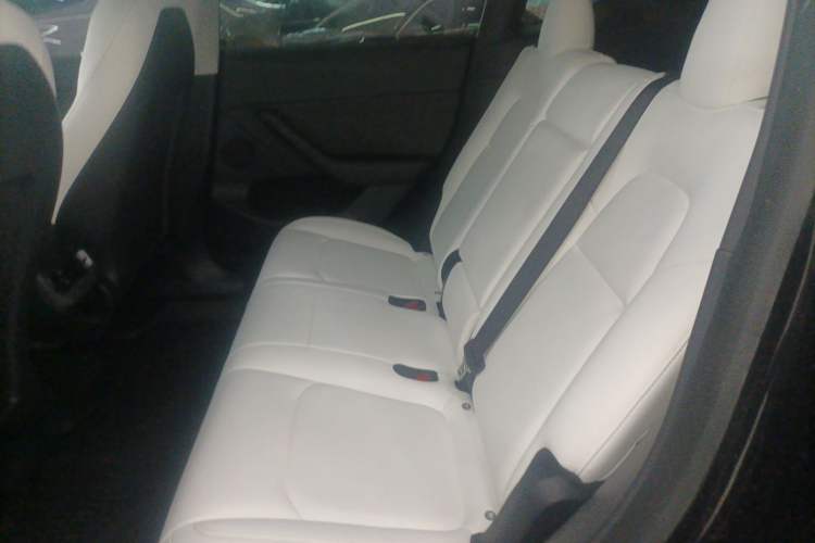 Used Tesla Model Y 2021 Standard Range Rear-Wheel Drive Version Left Rear Seat