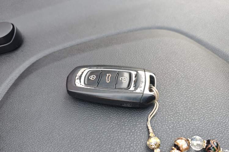 Used Livan Maple 30X 2020 Style Edition
