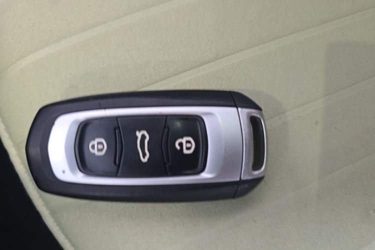 Used Geely Galaxy Panda 2023 Panda Mini New Year Edition Treasure Bear
