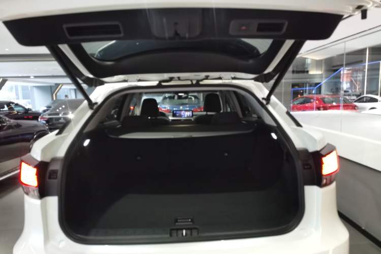 Used Lexus RX 2020 300 Two-Wheel Drive Elite Edition China VI Standard
