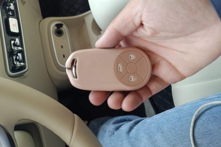 Used ORA Good Cat 2024 401 km Luxury Version Interior 1