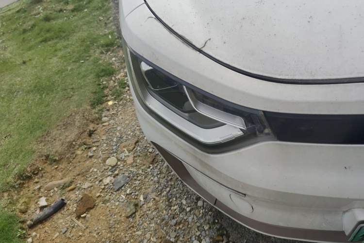 Used SOL E10X 2022 Flower Fairy Design Four-Leaf Clover Right Front Headlight